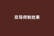 民办高校就业率提升案例：宁德时代产业学院双导师制