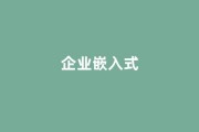 就业率提升策略：从“企业嵌入式”培养到全球实习通道