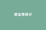 民办高校就业率统计乱象：从“被就业”到统计局核查机制